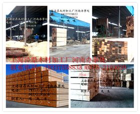 构筑未来的基石 建筑材料的发展与展望